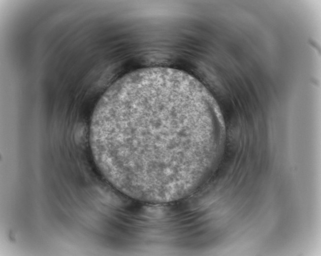 X0000095890079200802011116