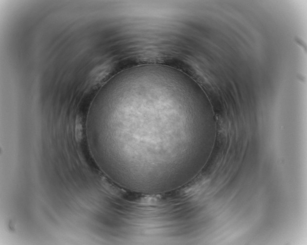 X0000095890080200802011116