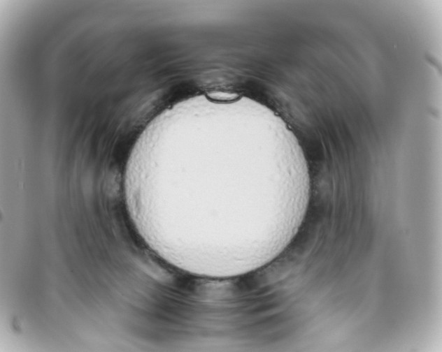 X0000095890081200802011116