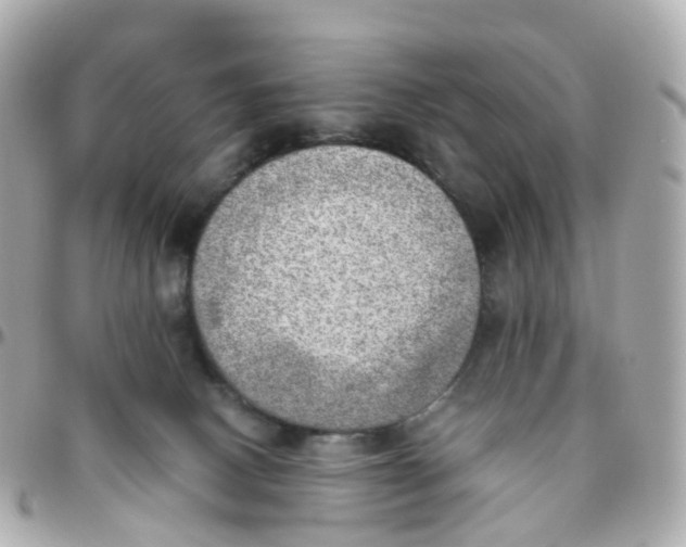 X0000095890082200802011116