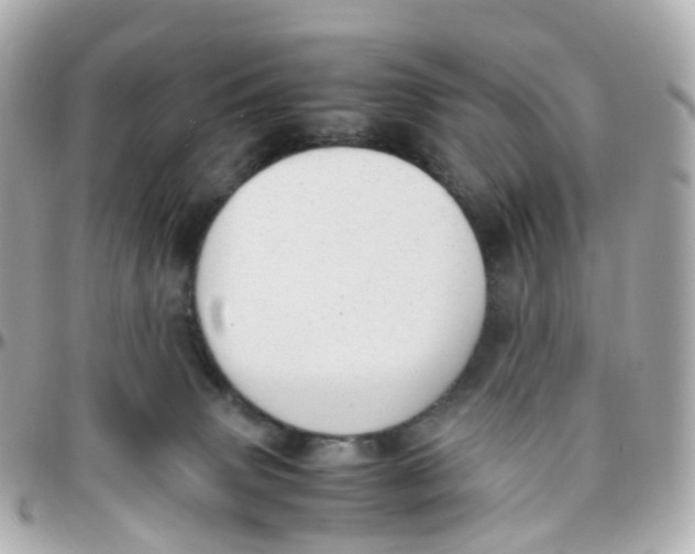 X0000095890083200802011116