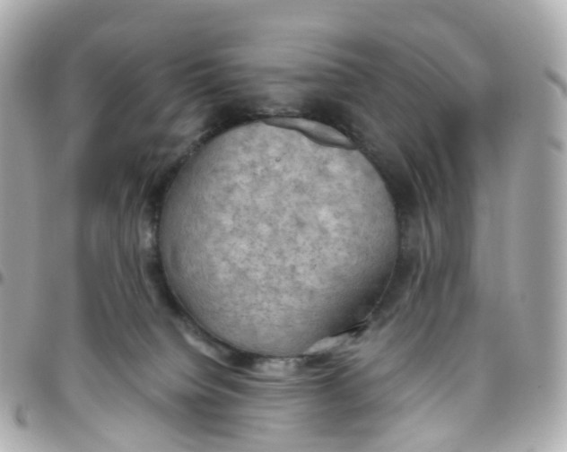 X0000095890084200802011116