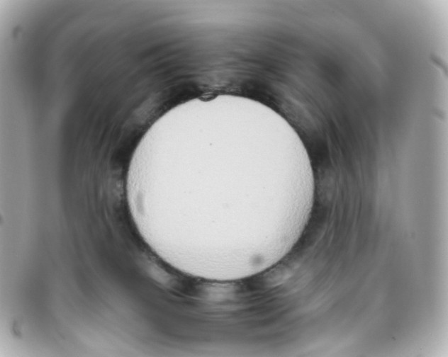 X0000095890085200802011116