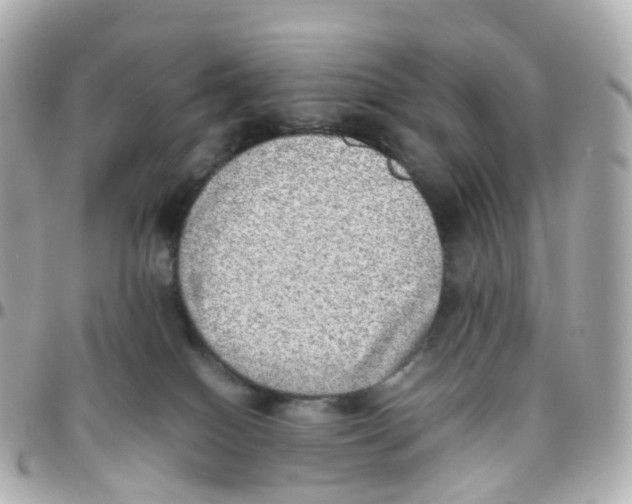 X0000095890086200802011116