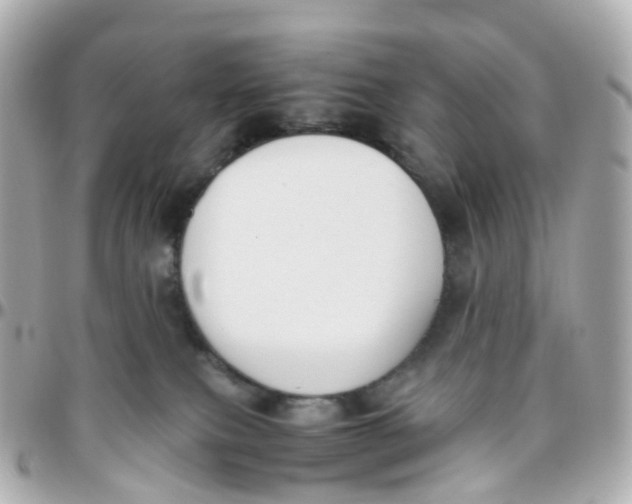 X0000095890087200802011116