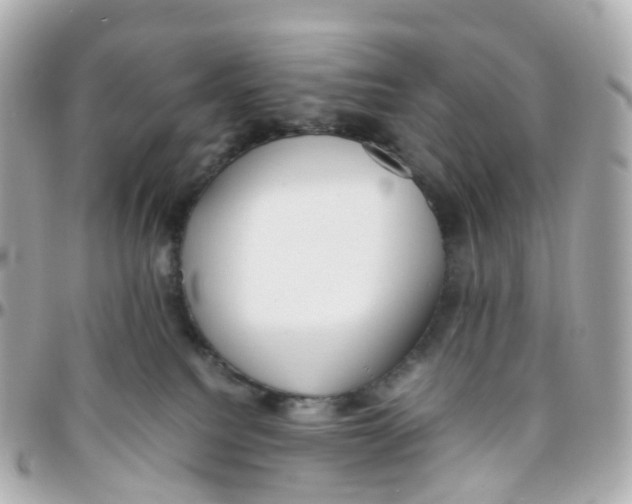 X0000095890088200802011116