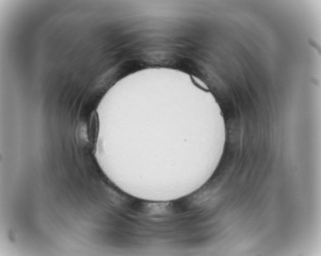 X0000095890089200802011116