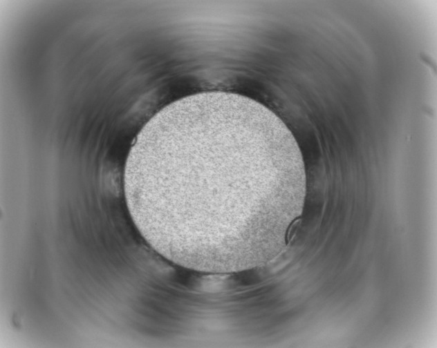 X0000095890090200802011116