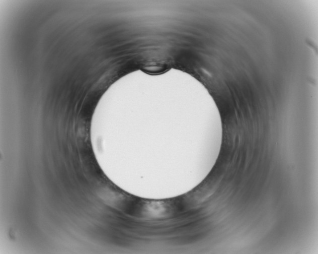 X0000095890091200802011116