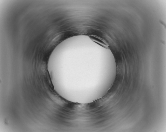 X0000095890092200802011116