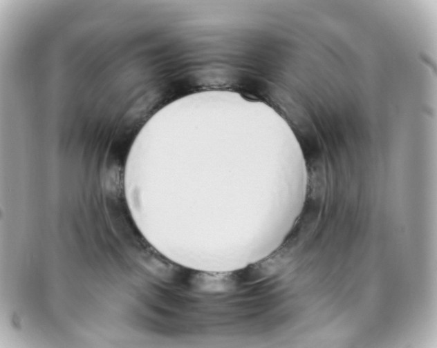 X0000095890093200802011116