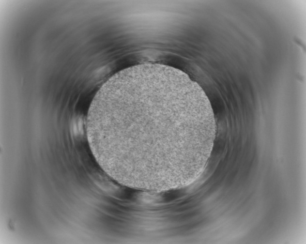X0000095890094200802011116