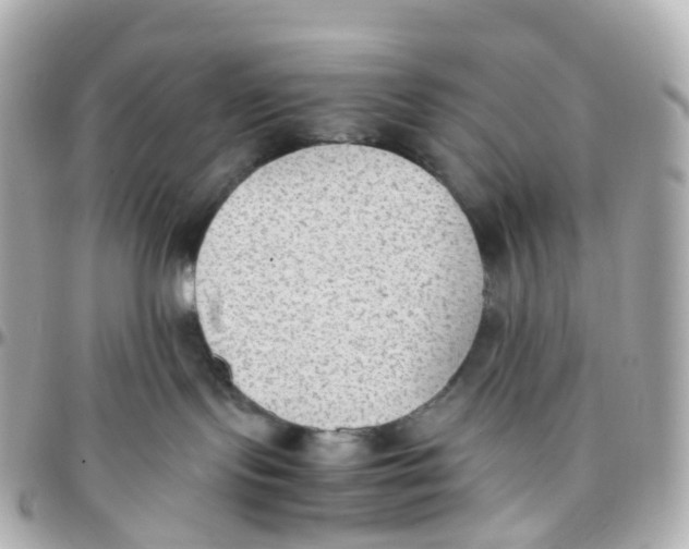 X0000095890095200802011116