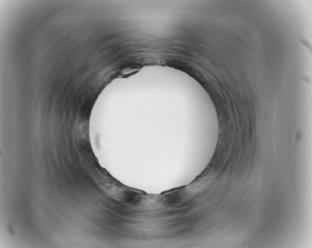 X0000095890096200802011116