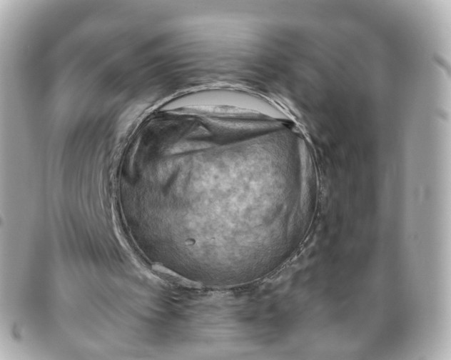 X0000095890097200802011115