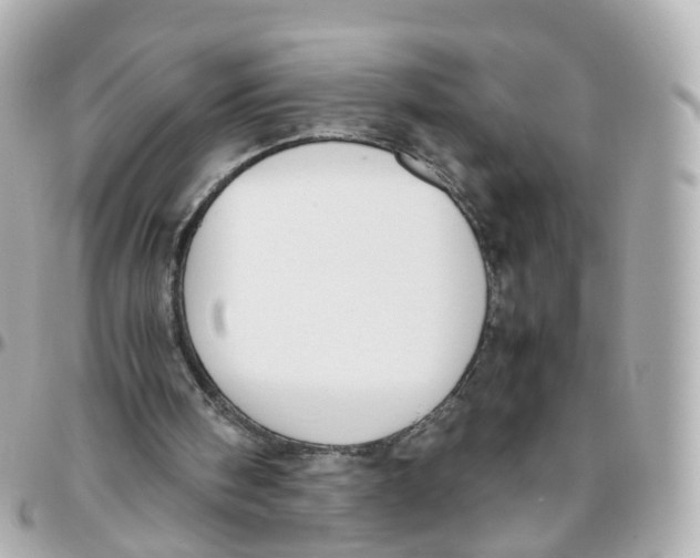 X0000095890098200802011115