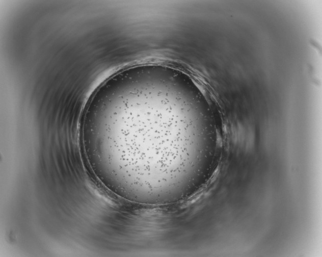 X0000095890100200802011115