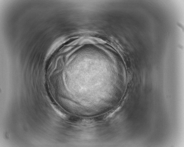X0000095890101200802011115