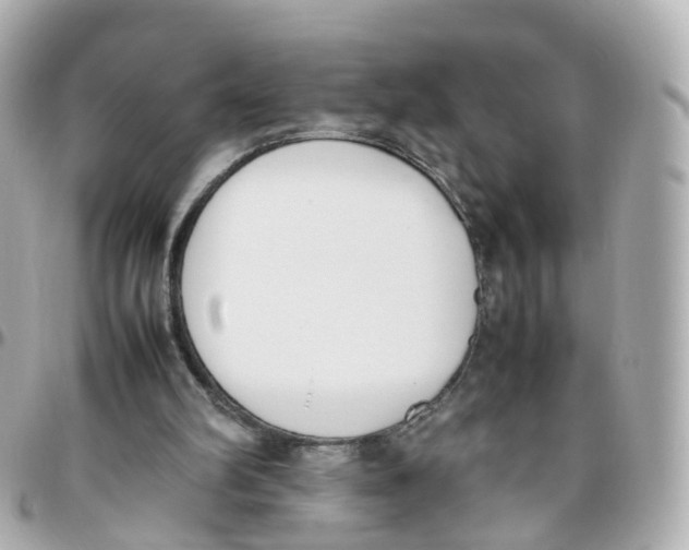 X0000095890102200802011115