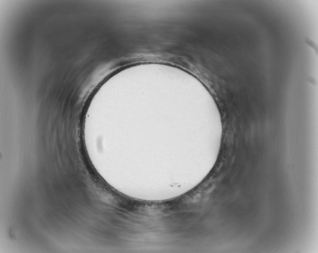 X0000095890103200802011115
