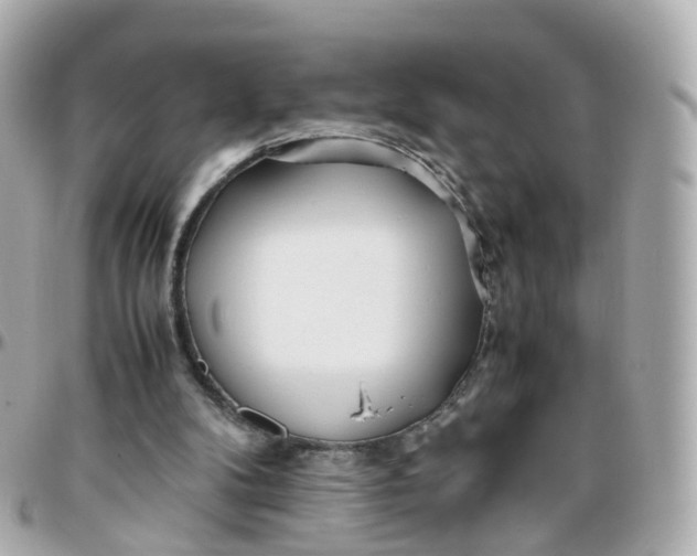 X0000095890104200802011115