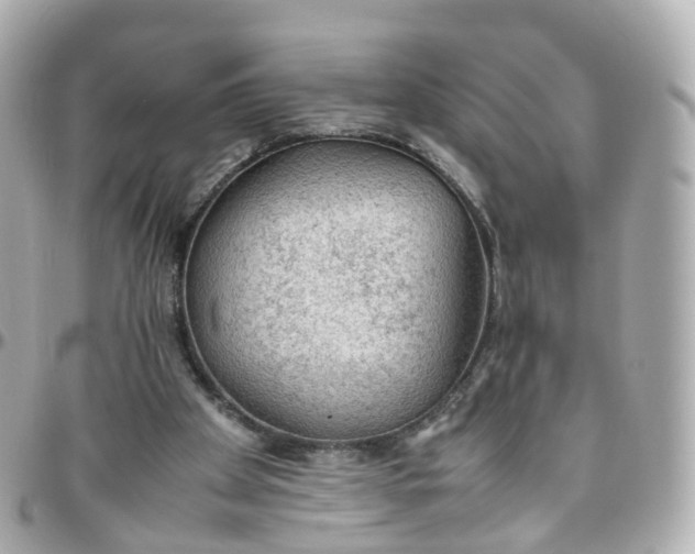 X0000095890105200802011115