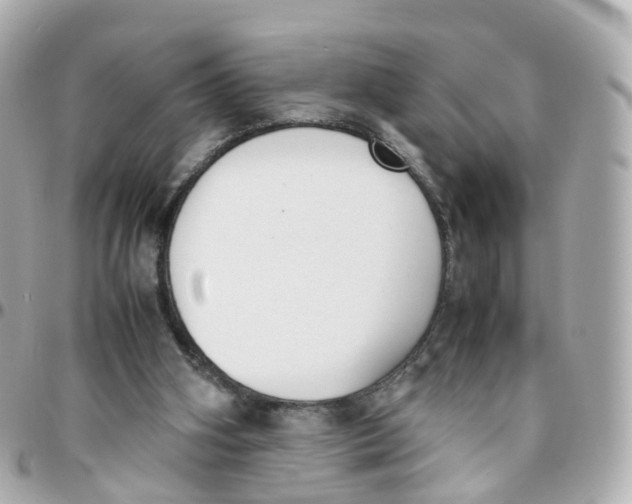 X0000095890106200802011115
