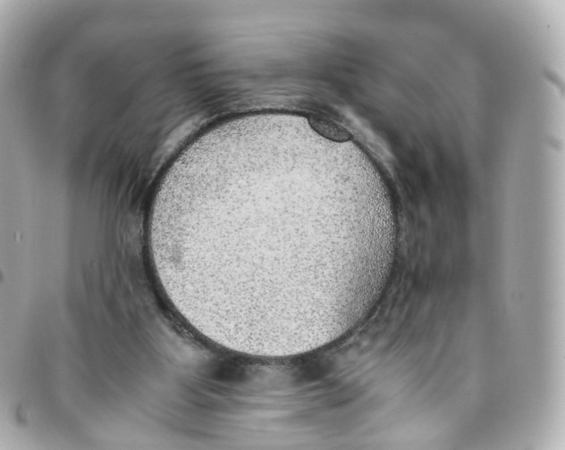 X0000095890107200802011115