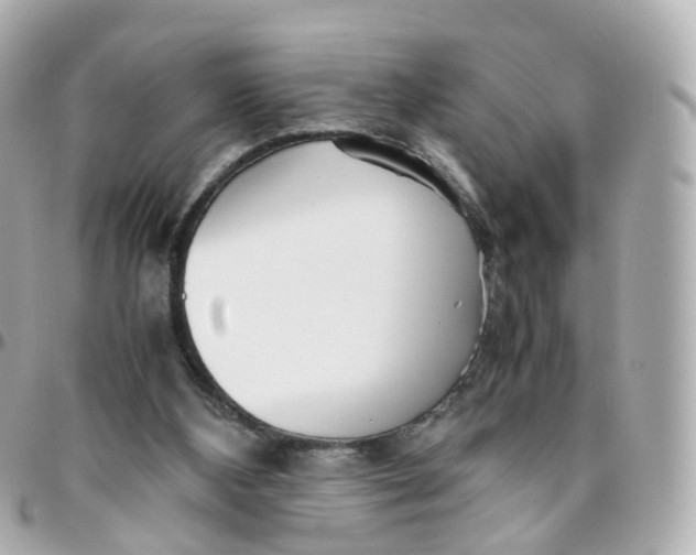 X0000095890108200802011115