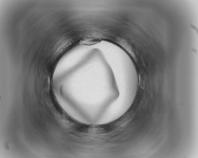 X0000095890109200802011115