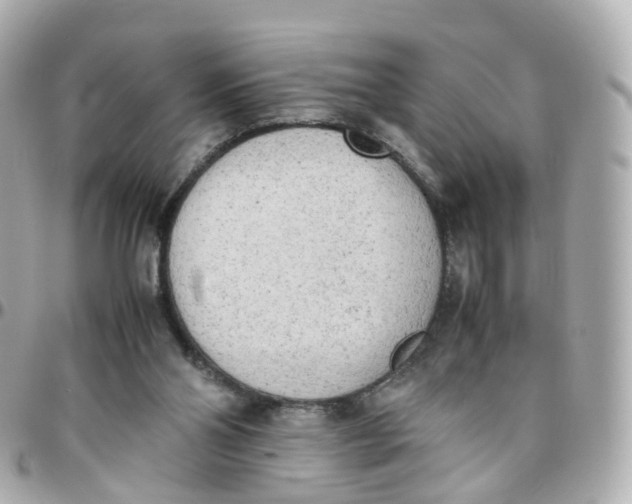 X0000095890110200802011115