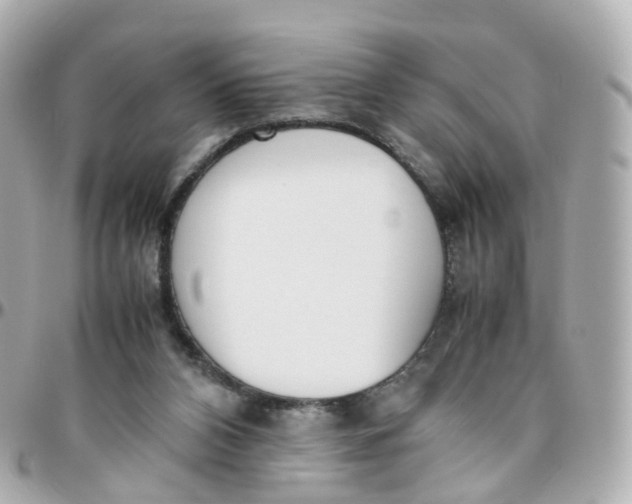X0000095890112200802011115