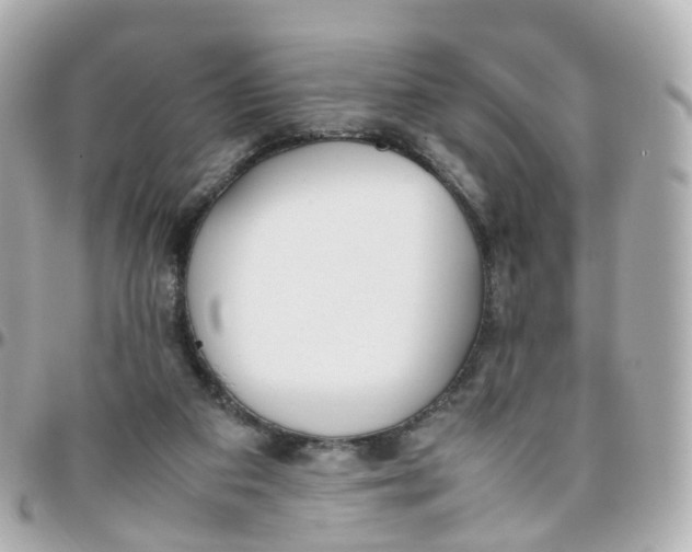 X0000095890113200802011115
