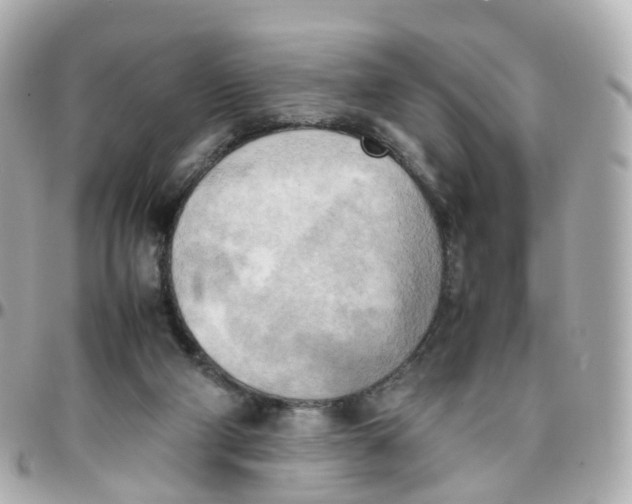 X0000095890114200802011115