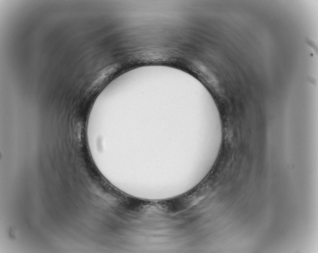 X0000095890115200802011115