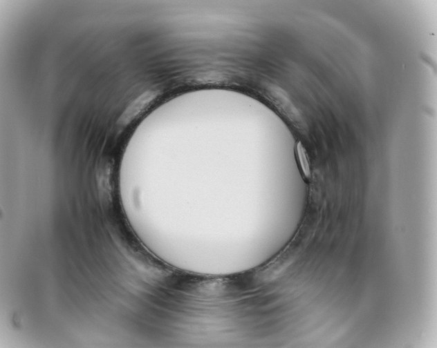 X0000095890116200802011115