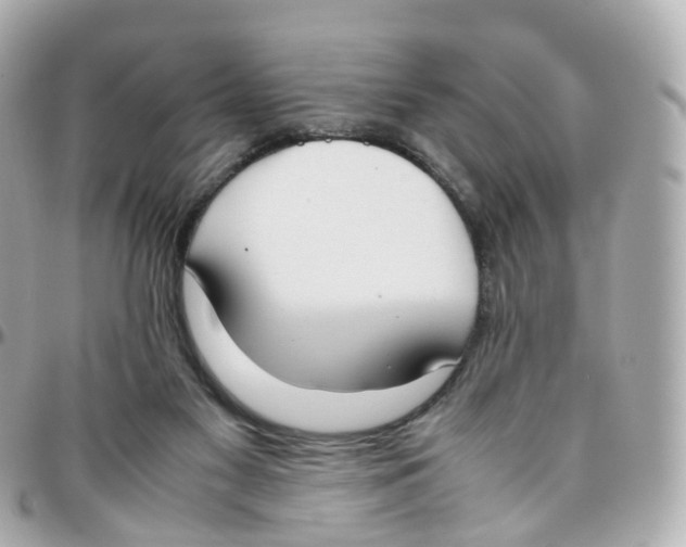 X0000095890117200802011115