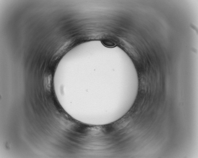 X0000095890118200802011115