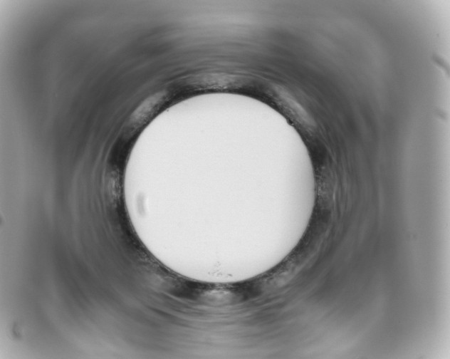 X0000095890119200802011115