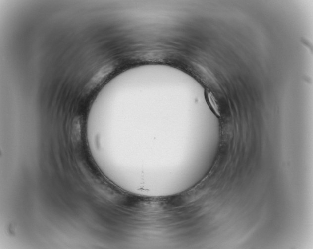 X0000095890120200802011115