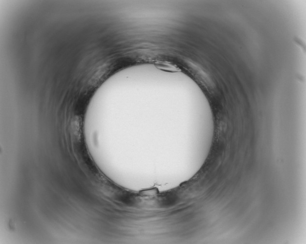 X0000095890121200802011115