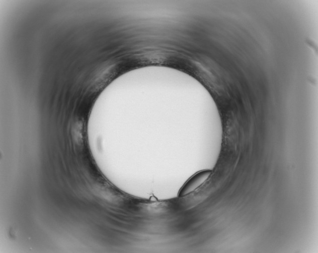 X0000095890122200802011115