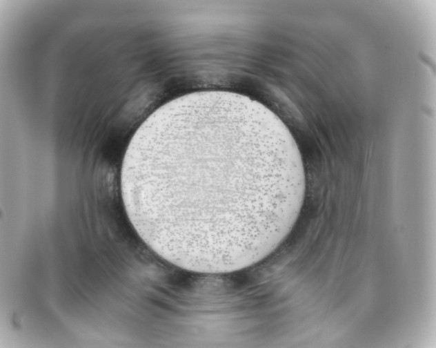 X0000095890123200802011115