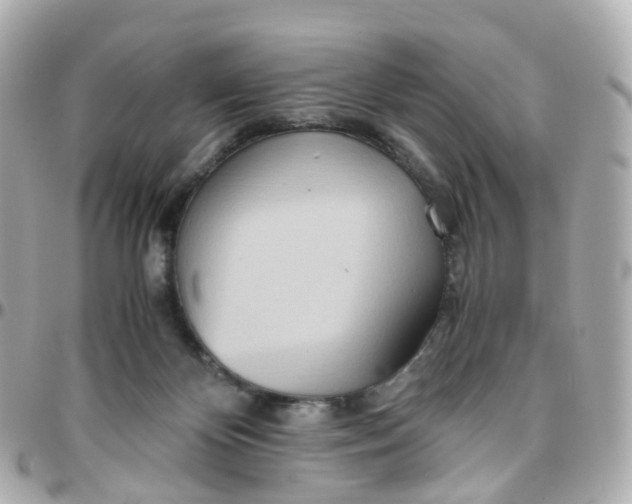 X0000095890124200802011115