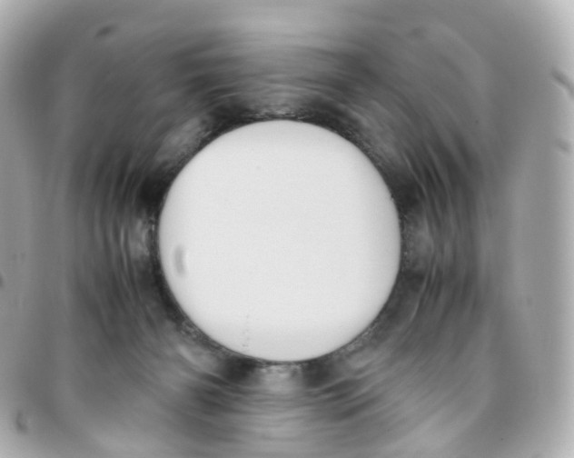 X0000095890126200802011115