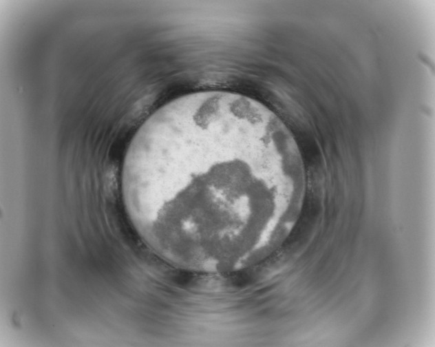 X0000095890127200802011115