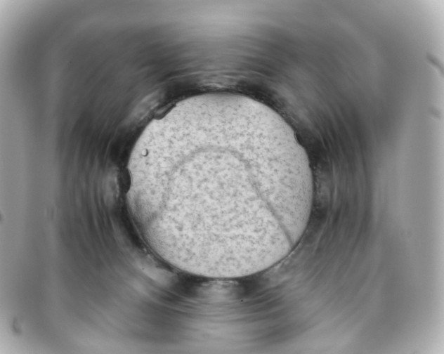 X0000095890128200802011115