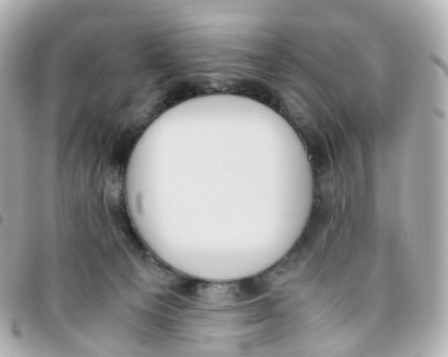 X0000095890129200802011115