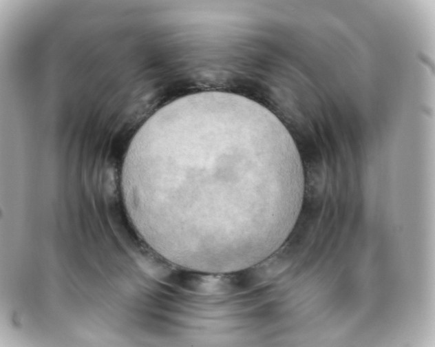 X0000095890130200802011115