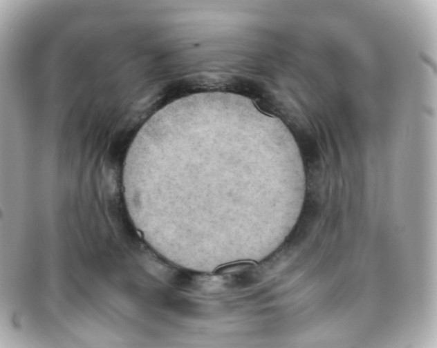 X0000095890131200802011115
